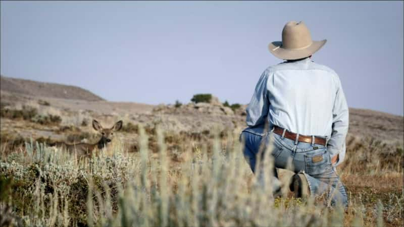 纪录片《接触荒野 - 与死亡峡谷的长耳鹿一起生活 Touching the Wild - Living with the Mule Deer of Deadman Gulch》[无字][BT][1080P]资源下载