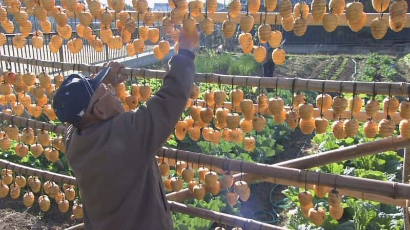 纪录片《里山:日本的秘密花园 Satoyama:Japan's Secret Garden》[无字][BT][720P]资源下载