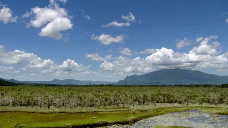 纪录片《狂野澳大利亚的秘密：系列 1 Secrets of Wild Australia: Series 1》[无字][BT][720P]资源下载