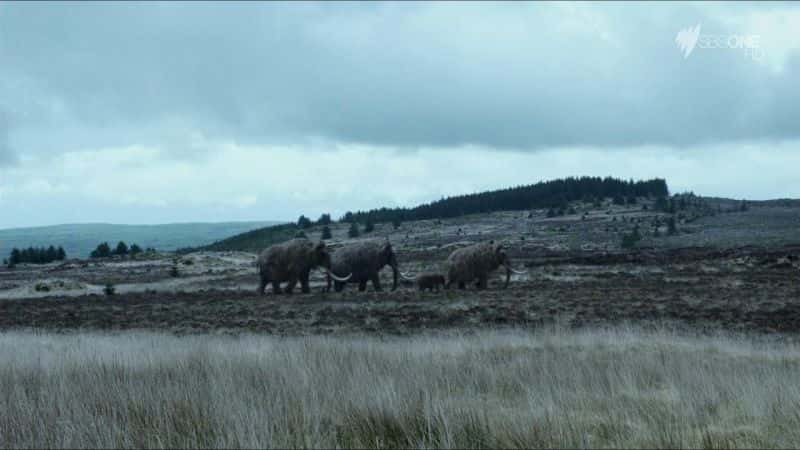 ¼Ƭο¡ How to Clone a Woolly MammothĻ/Ļ