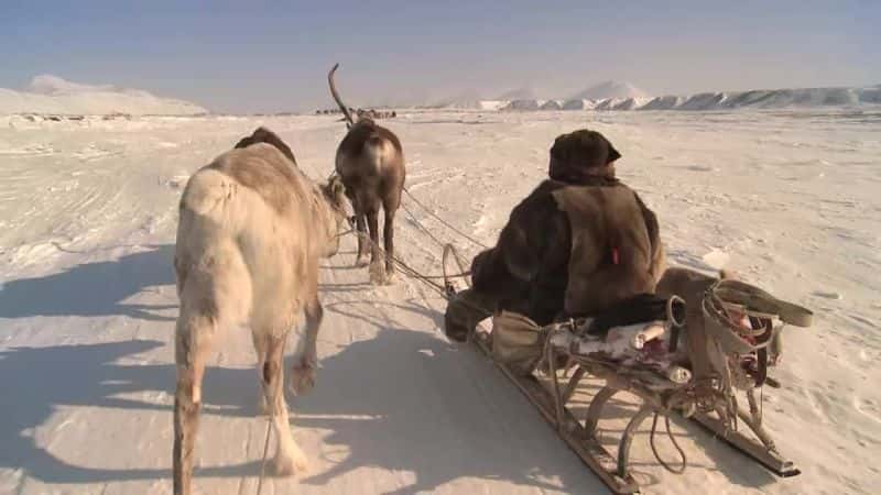 纪录片《苔原书 The Tundra Book》[无字][BT][DVD]资源下载