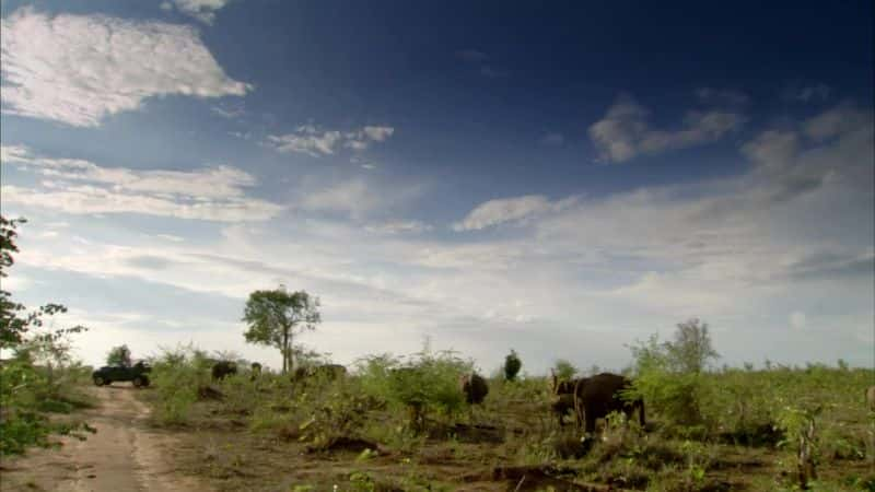 纪录片《斯里兰卡：象岛 Sri Lanka: Elephant Island》[无字][BT][720P][DVD]双画质资源下载