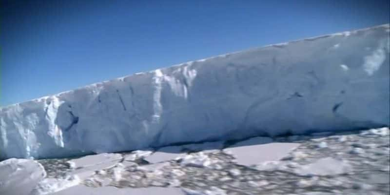 纪录片《消失的南极洲 The Vanishing Antarctica》[无字] [BT][DVD画质]资源下载