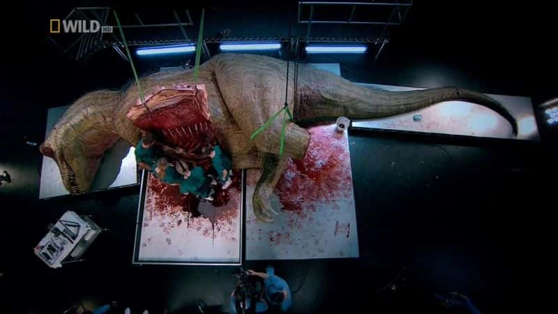 纪录片《霸王龙尸检 T. Rex Autopsy》[无字][BT][720P]资源下载