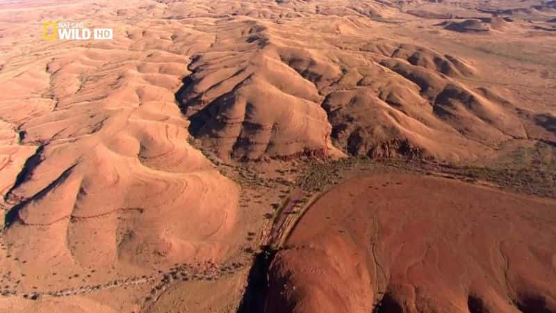 纪录片《澳大利亚天空野生动物园 Sky Safari Australia》[无字][BT][720P][1080P]双画质资源下载