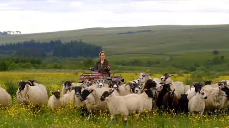 纪录片《罗布森·格林的诺森伯兰故事 Tales from Northumberland With Robson Green》第1季全8集[人文历史][无字幕][720P][MP4][BT][资源下载]