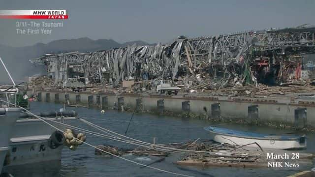 纪录片《海啸：第一年 The Tsunami: The First Year》全1集[历史纪录片][无字幕][1080P][MKV][BT][资源下载]