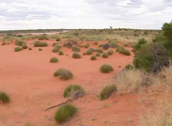 纪录片《野性澳大利亚 第一季 Untamed Australia Season 1》[无字][BT][1080P]资源下载