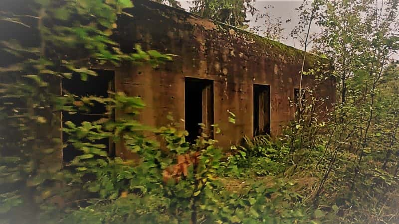 ¼Ƭɴַϵ 2  6 ֣èͷӥɽ Secret Nazi Ruins Series 2 Part 6:Secrets of the Owl Mountains1080P-Ļ/Ļ