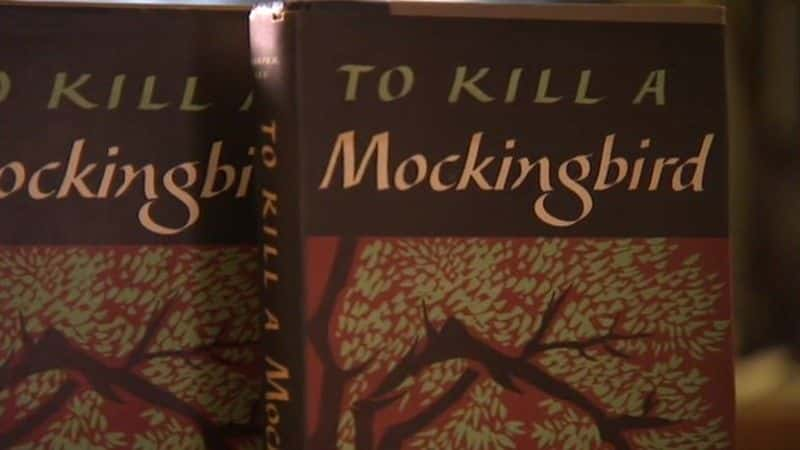 ¼ƬHey Booꡤ͡ɱһֻ֪ Hey Boo: Harper Lee and 'To Kill a Mockingbird'ȫ1-Ļ/Ļ