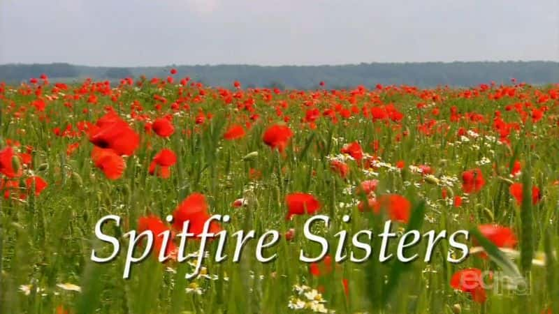 纪录片《喷火姐妹花 Spitfire Sisters》[无字][BT][1080P]资源下载