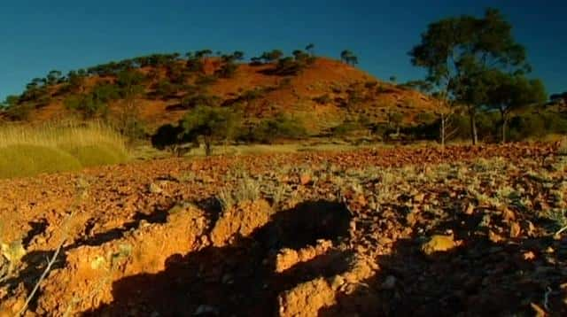 纪录片《Soundscapes - 澳大利亚的景象和声音 Soundscapes - The Sights and Sounds of Australia》[无字] [BT][DVD画质]资源下载