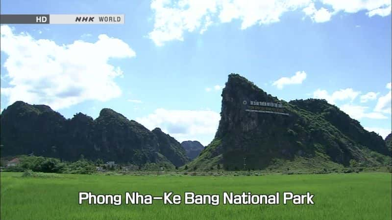 纪录片《越南的韩松洞 Vietnam's Hang Son Doong Cave》[无字][BT][720P]资源下载