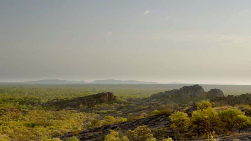 纪录片《狂野澳大利亚的秘密：系列 1 Secrets of Wild Australia: Series 1》[无字][BT][720P]资源下载