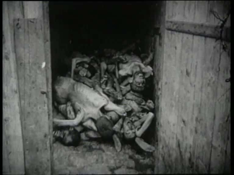 ¼ƬɱӪ - ˹³˺Ͳ߶ Holocaust: Concentration Camps - Ravensbruck and BuchenwalĻ/Ļ