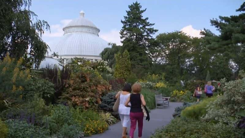 纪录片《纽约的瑰宝：纽约植物园 Treasures of New York: New York Botanical Garden》[无字][BT][1080P][DVD]双画质资源下载