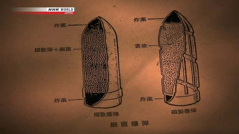 纪录片《731 精英医生与人体实验 Unit 731: Elite Doctors and Human Experimentation》[无字] [BT][DVD画质]资源下载