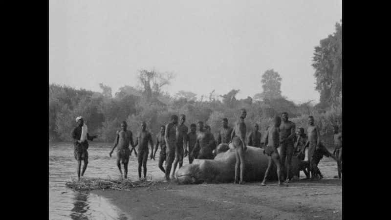 纪录片《刚果旅行 Travels in the Congo》[无字][BT][DVD]资源下载