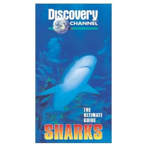 纪录片《鲨鱼（发现） Sharks (Discovery)》[无字][BT][720P]资源下载