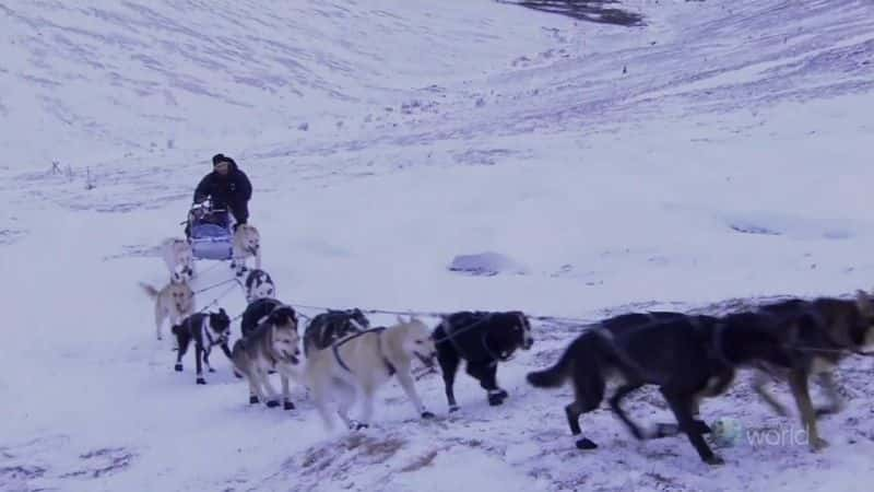 ¼ƬµĹѩ Sled Dog Racing in the Northern LightsĻ/Ļ