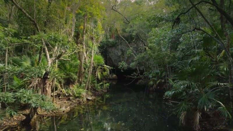 纪录片《未被发现的世界：墨西哥 Undiscovered Worlds: Mexico》[无字][BT][1080P]资源下载