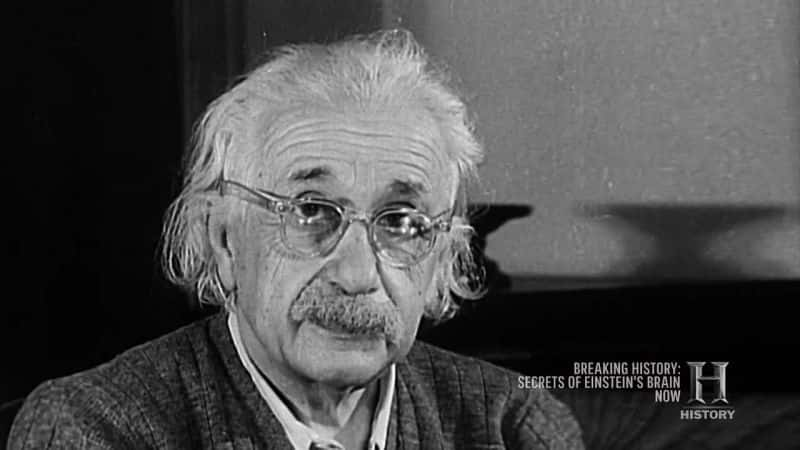 ¼Ƭ˹̹Ե Secrets of Einstein's BrainĻ/Ļ