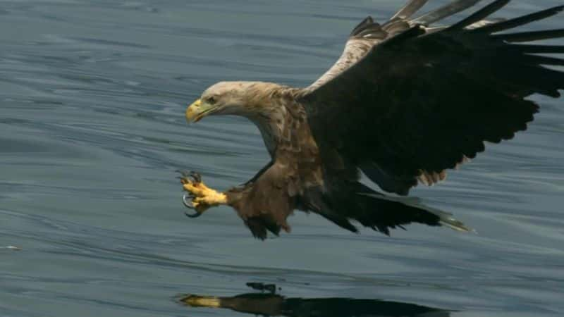 ¼ƬղȺԵ Hebrides: Islands on the EdgeĻ/Ļ