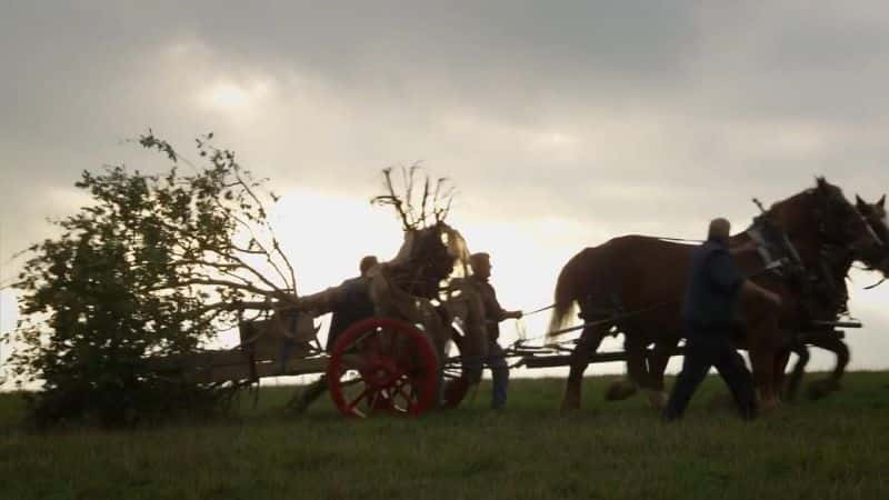 纪录片《英国花园秘史 The Secret History of the British Garden》[无字][BT][1080P]资源下载