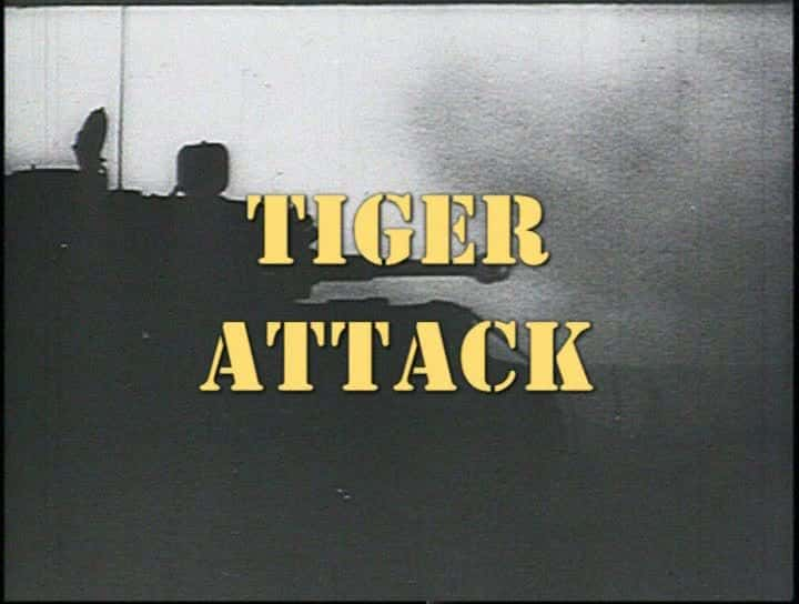 纪录片《老虎袭击 Tiger Attack》[无字][BT][720P]资源下载