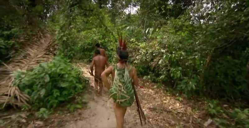 ¼ƬȰ Saving the Awa Tribe1080P-Ļ/Ļ