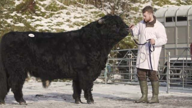 ¼Ƭߵţ The Highland Cattle of Ardbhan1080Pȫ1-Ļ/Ļ