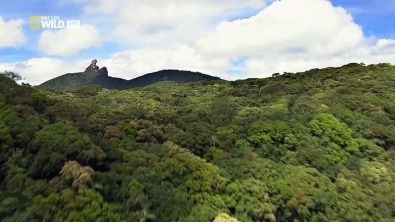 纪录片《澳大利亚天空野生动物园 Sky Safari Australia》[无字][BT][720P][1080P]双画质资源下载