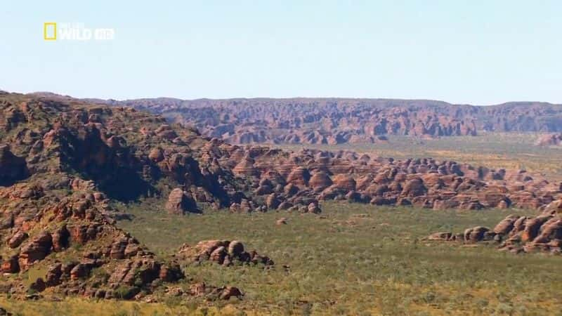 纪录片《澳大利亚天空野生动物园 Sky Safari Australia》[无字][BT][720P][1080P]双画质资源下载