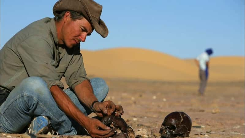 纪录片《撒哈拉沙漠的骷髅 Skeletons of the Sahara》[无字][BT][1080P]资源下载