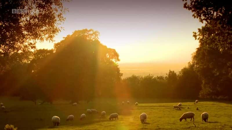 ¼Ƭϣ¿أļ˵Ļ԰ Hidcote: A Garden for All Seasonsȫ1-Ļ/Ļ