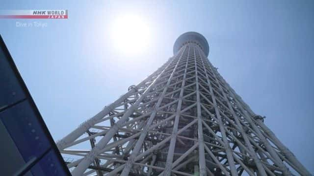 纪录片《东京晴空塔和江户水道 Tokyo Skytree and the Waterways of Edo》[无字][BT][1080P]资源下载