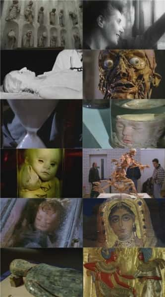 纪录片《揭秘：神秘的木乃伊世界 Unwrapped: The Mysterious World of Mummies》[无字][BT][1080P]资源下载