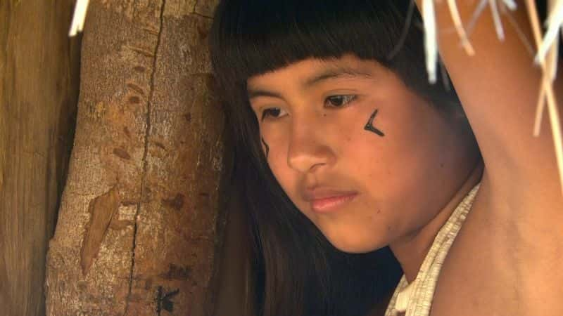 纪录片《亚马逊的眼泪 Tears of the Amazon》[无字][BT][DVD]资源下载