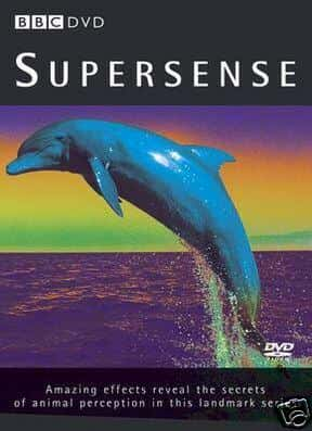 纪录片《超感 Supersense》[无字] [BT][DVD画质]资源下载