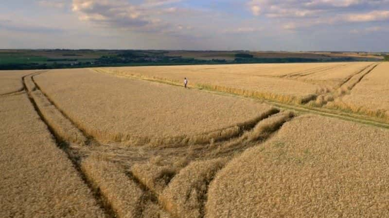 ¼Ƭ1916 ķӣ The Somme 1916: From Both Sides of the Wireȫ3-Ļ/Ļ