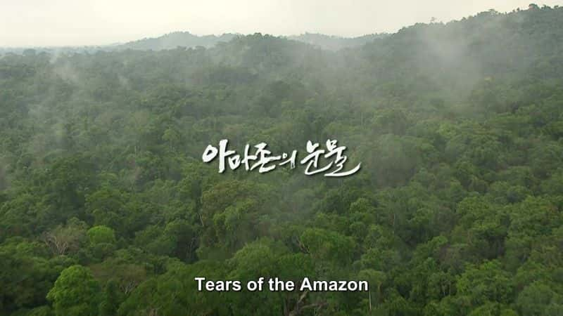 纪录片《亚马逊的眼泪 Tears of the Amazon》[无字][BT][DVD]资源下载