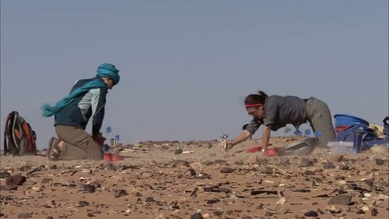 纪录片《撒哈拉沙漠的骷髅 Skeletons of the Sahara》[无字][BT][1080P]资源下载