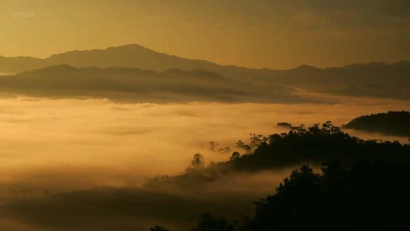 纪录片《泰国：地球上的热带天堂 (BBC) Thailand: Earth's Tropical Paradise (BBC)》[无字][BT][720P]资源下载