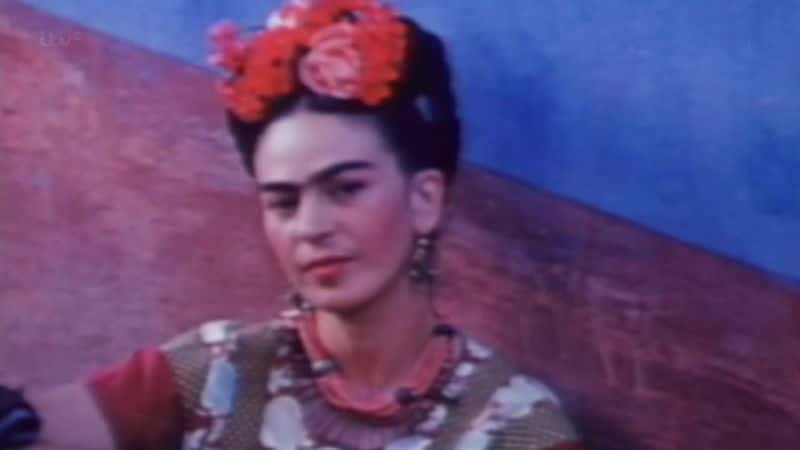 纪录片《在我的皮肤下：寻找弗里达·卡罗 Under My Skin: In Search of Frida Kahlo》[无字][BT][720P]资源下载