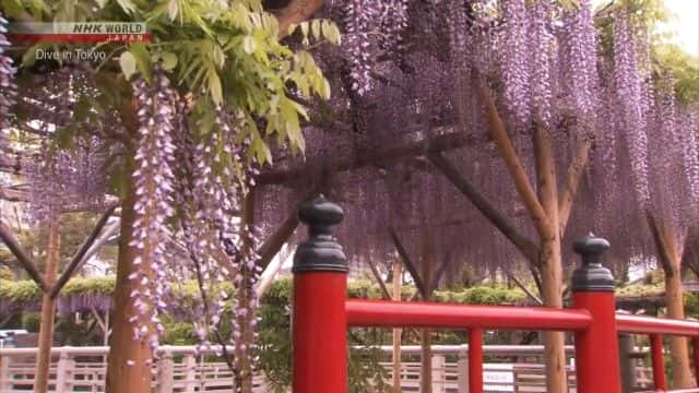 纪录片《东京晴空塔和江户水道 Tokyo Skytree and the Waterways of Edo》[无字][BT][1080P]资源下载