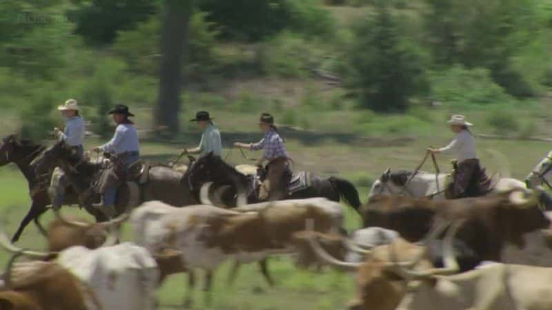 ¼Ƭס׶˹ (Ray Mears) Ұ How the Wild West Was Won With Ray MearsĻ/Ļ