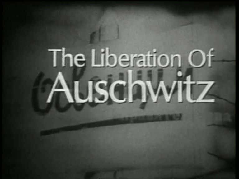 纪录片《大屠杀：集中营 - 奥斯威辛 Holocaust: Concentration Camps - Auschwitz》[无字] [BT][DVD画质]资源下载