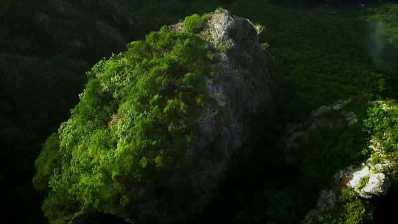 纪录片《韩国：地球上隐藏的荒野 South Korea: Earth's Hidden Wilderness》[无字][BT][1080P]资源下载