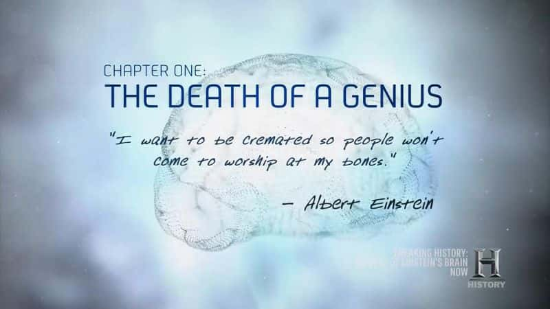 ¼Ƭ˹̹Ե Secrets of Einstein's BrainĻ/Ļ