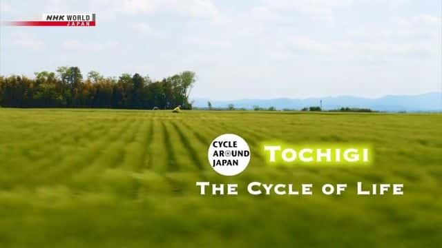 纪录片《栃木县：生命的循环 Tochigi: The Cycle of Life》[无字][BT][DVD]资源下载